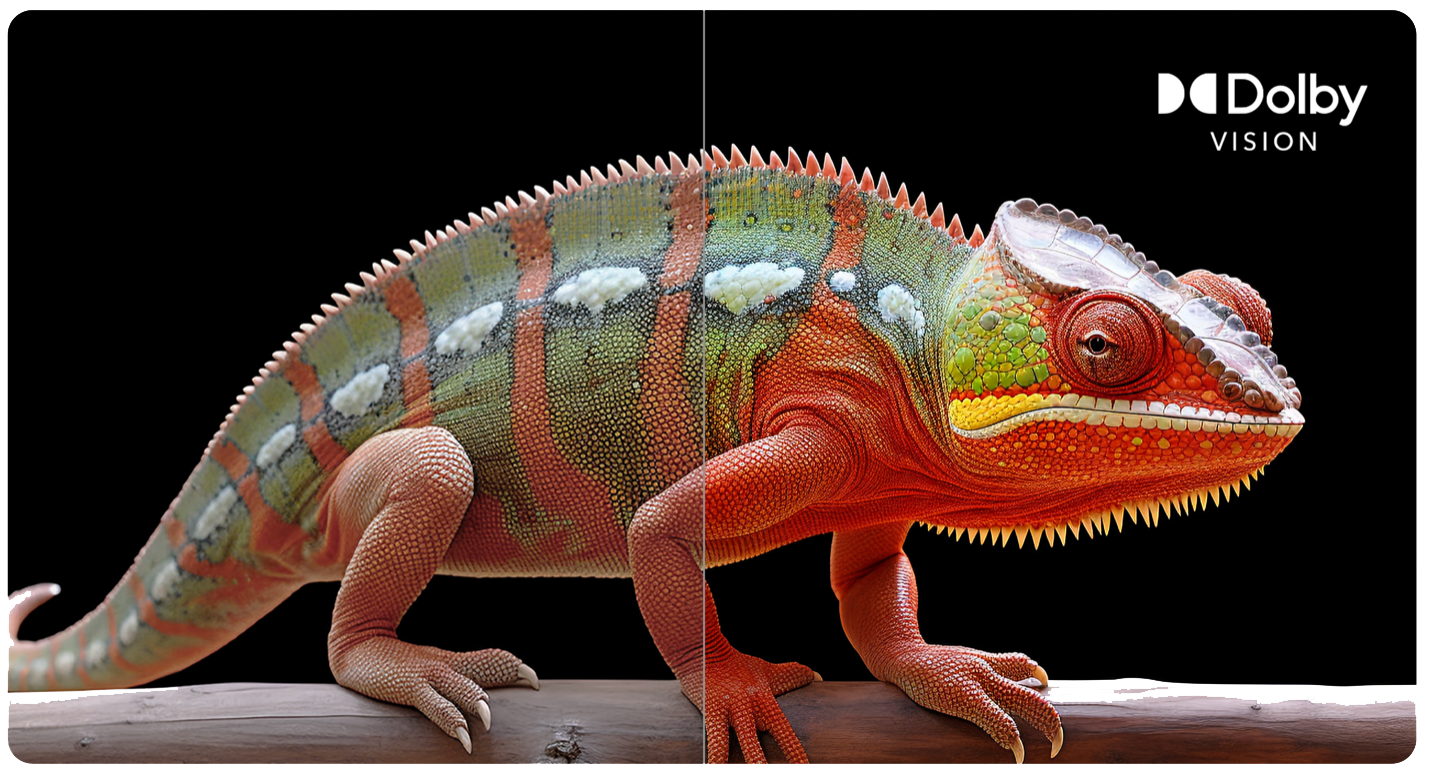 Dolby_Vision_Graphic3